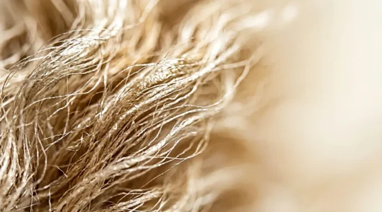 Dettaglio macro di fibre di tessuto prezioso con texture naturale e lucentezza setosa